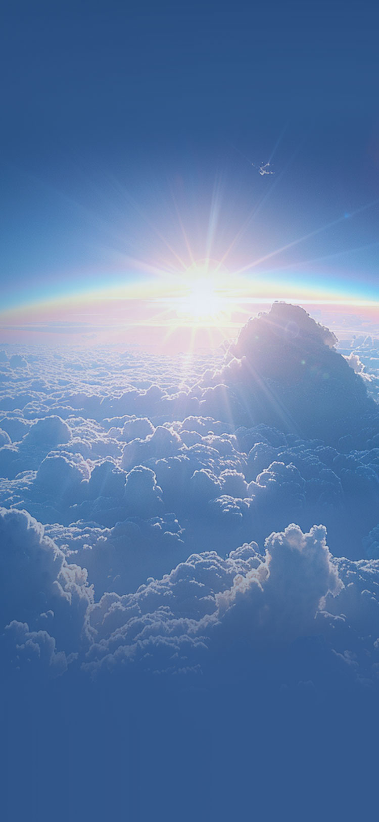 allwincity万象城(中国)有限公司官网